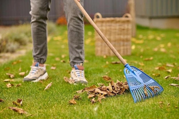 Professional yard and property clean-up services in Portland Oregon by FRS Remodeling