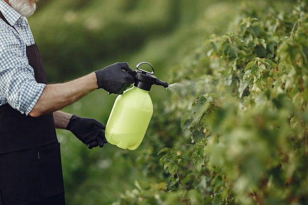 Professional fertilizer services in Portland OR by FRS Remodeling - Organic soil and lawn nutrition