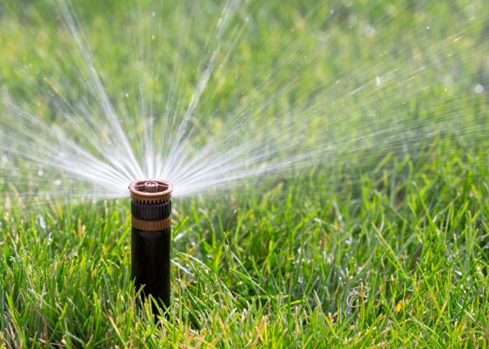 Garden landscape served by irrigation