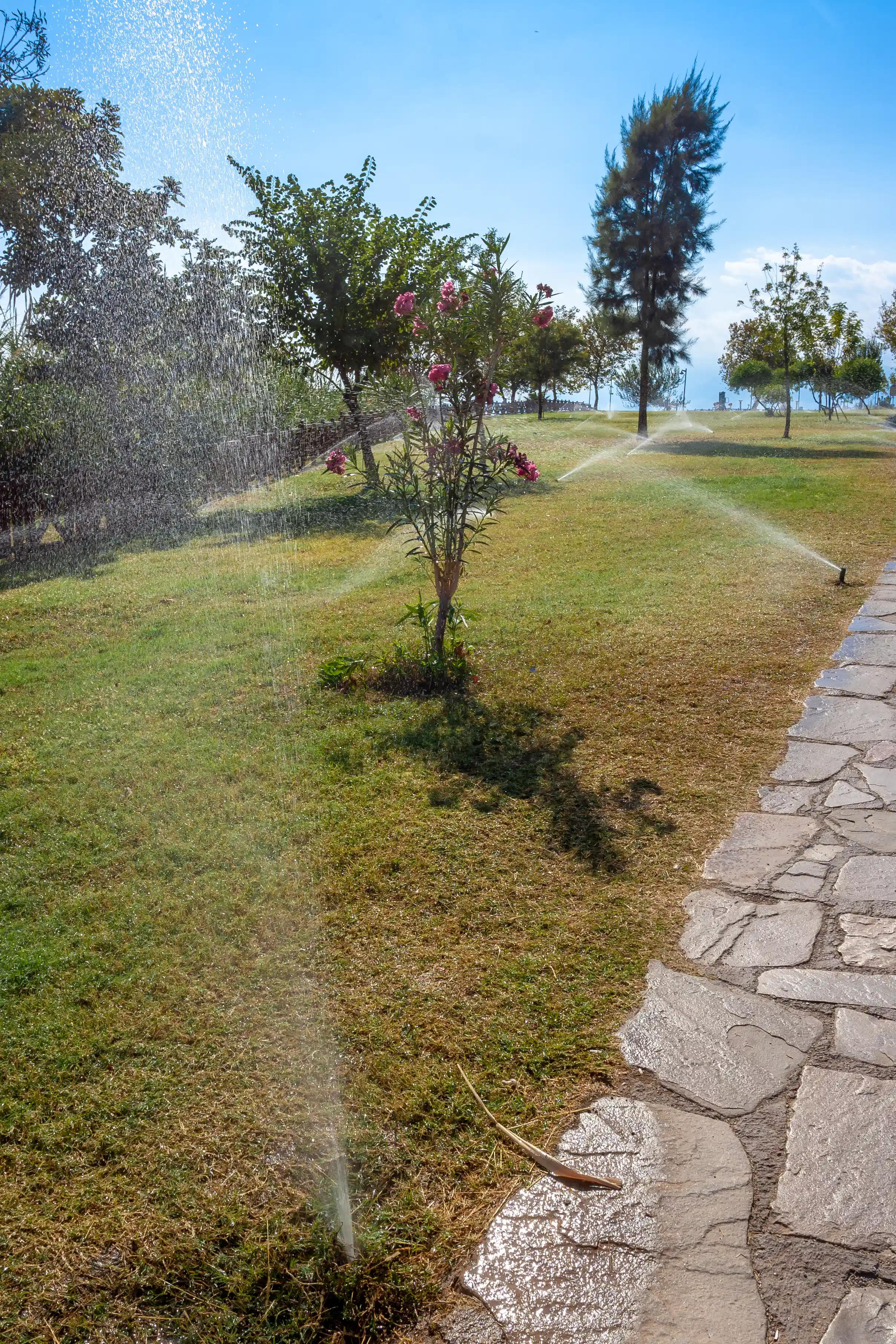 Professional irrigation services in Portland OR - Sprinkler installation and repair by FRS Remodeling