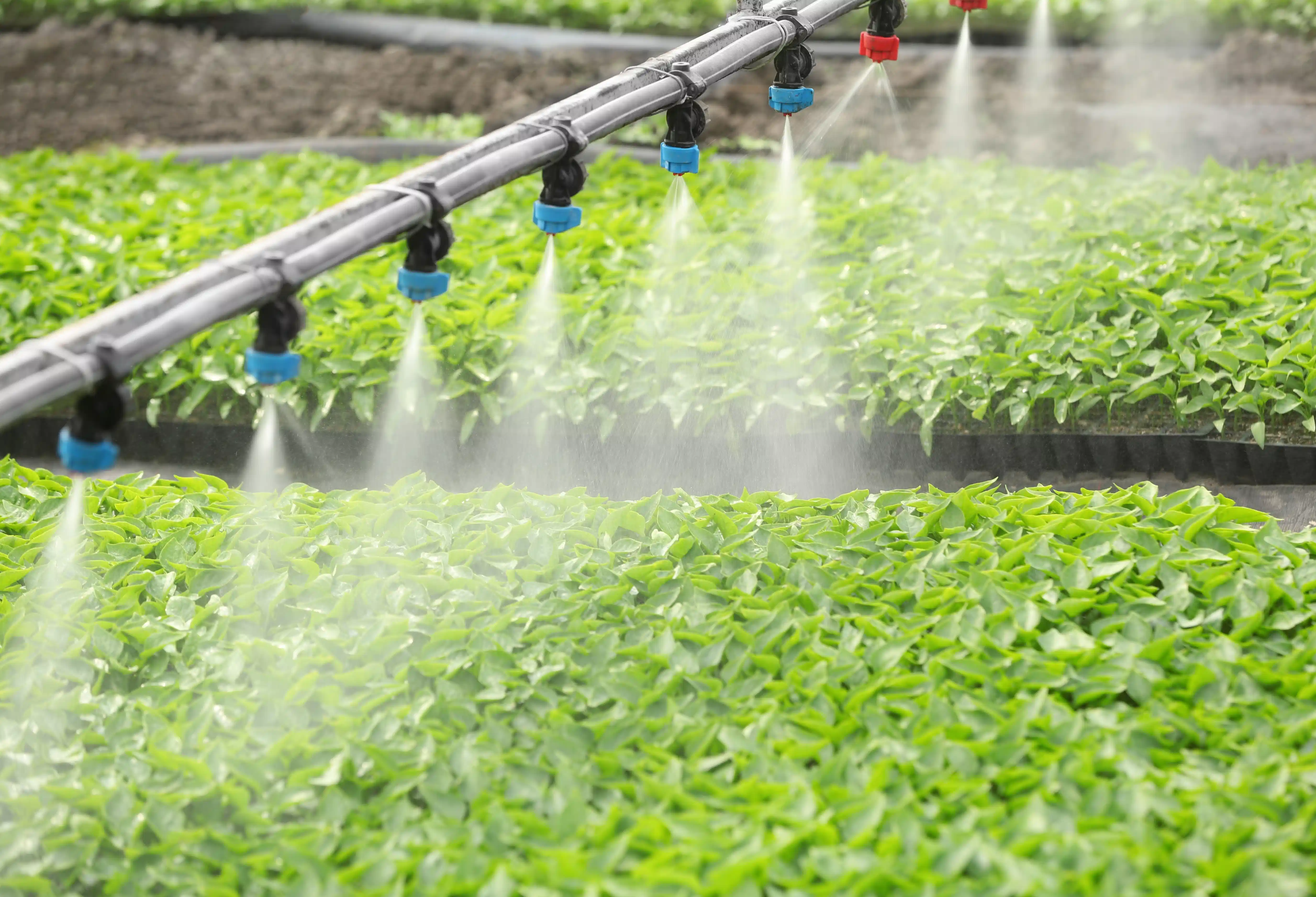 Professional irrigation system installation services in Portland OR - FRS Remodeling