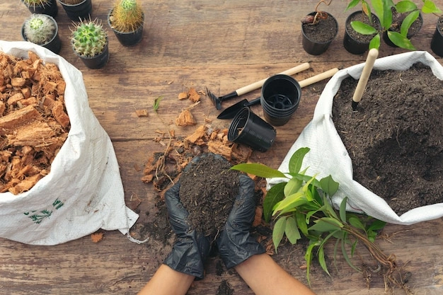 Professional planting services in Portland, OR - trees, shrubs and flower bed installation by FRS Remodeling