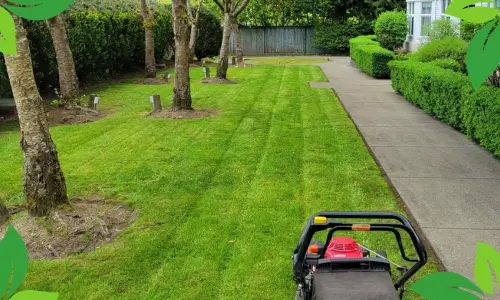 Professional residential maintenance services in Portland, OR - complete home and yard care by FRS Remodeling