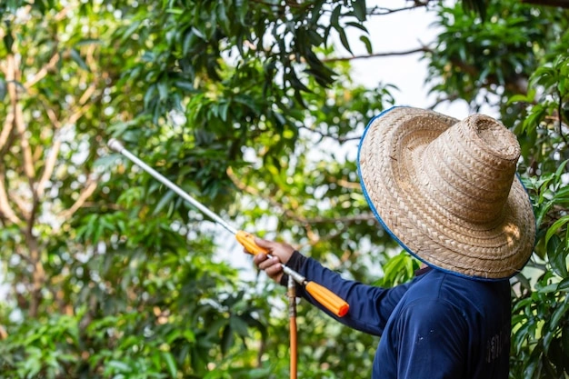 Professional tree injection services in Portland, OR - tree health and pest control by FRS Remodeling